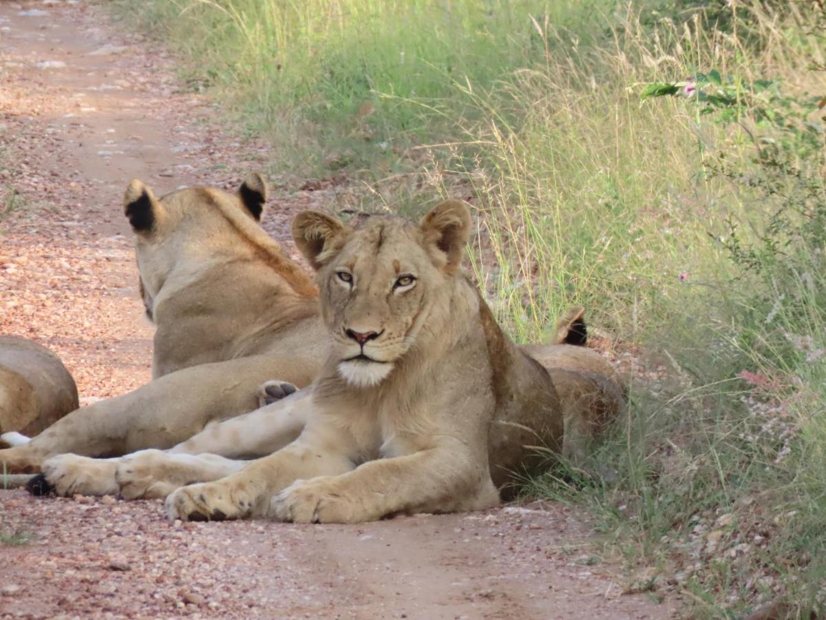 Muweti Bush Lodge Grietjie Game Reserve Екстериор снимка