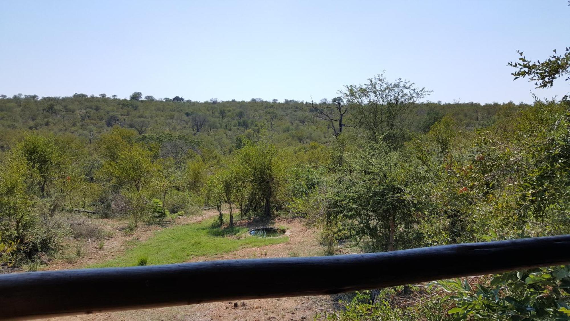 Muweti Bush Lodge Grietjie Game Reserve Стая снимка