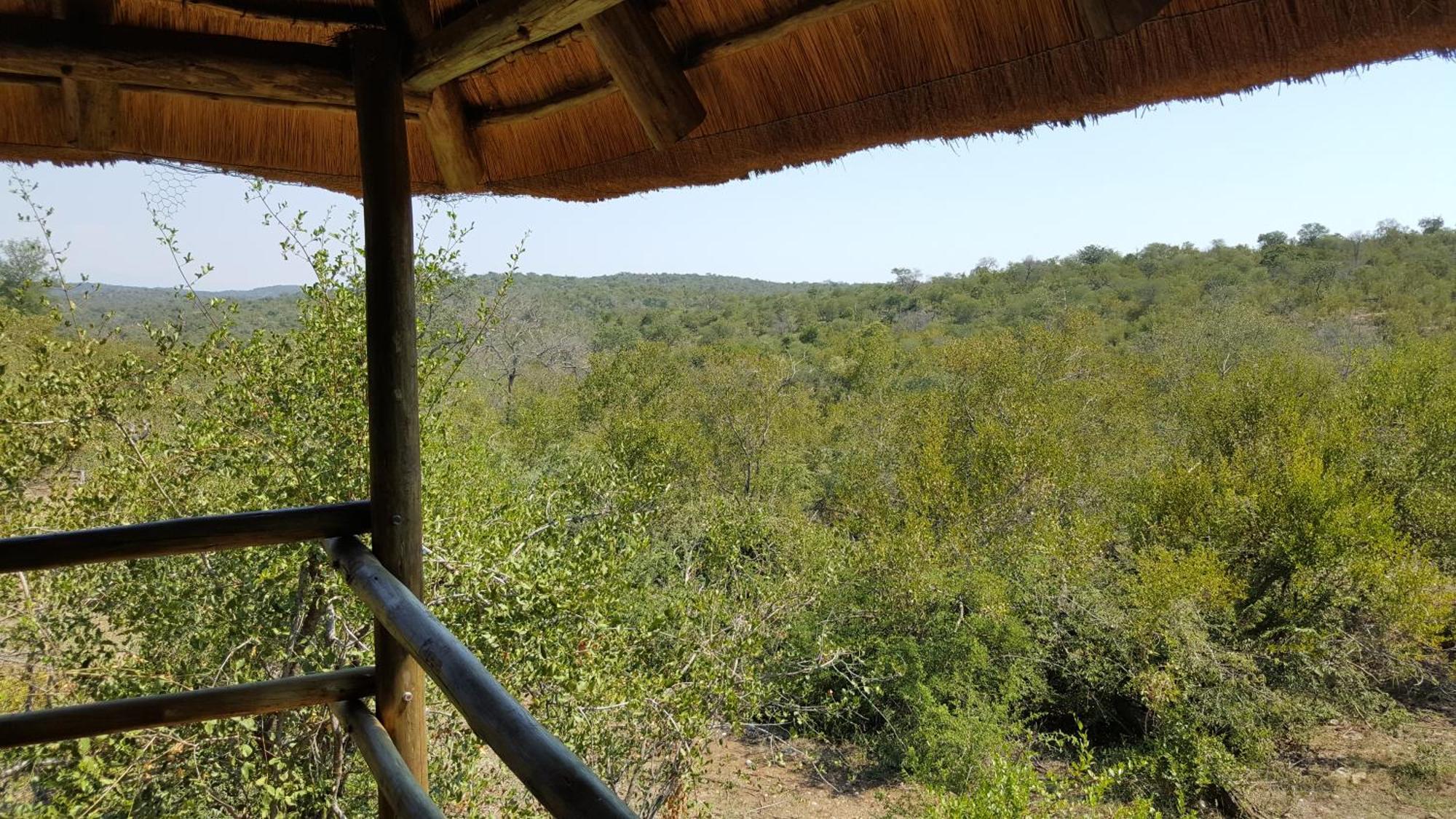 Muweti Bush Lodge Grietjie Game Reserve Стая снимка