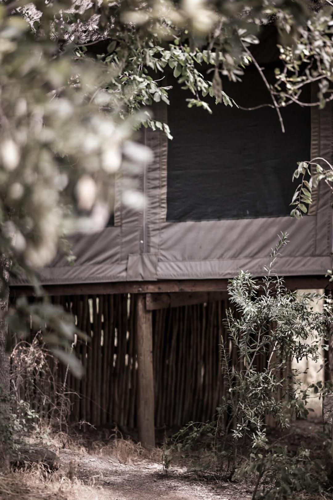 Muweti Bush Lodge Grietjie Game Reserve Екстериор снимка