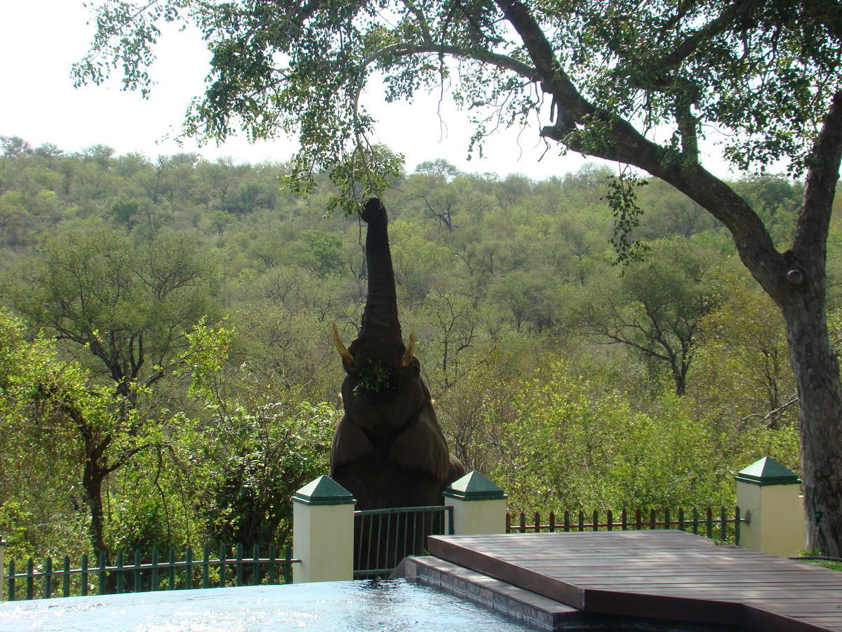 Muweti Bush Lodge Grietjie Game Reserve Екстериор снимка